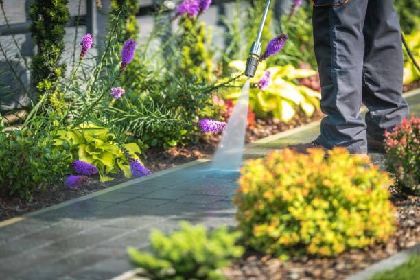Best Winterizing Services  in Wayne, PA