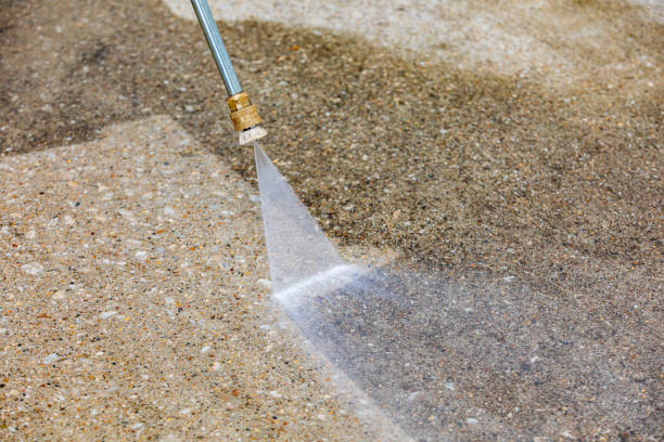Best Driveway Pressure Washing  in Wayne, PA
